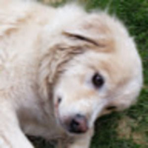 Meet your Posher, Erick